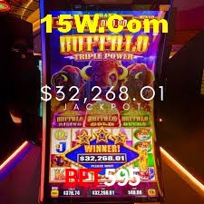 Security Systems Bet595